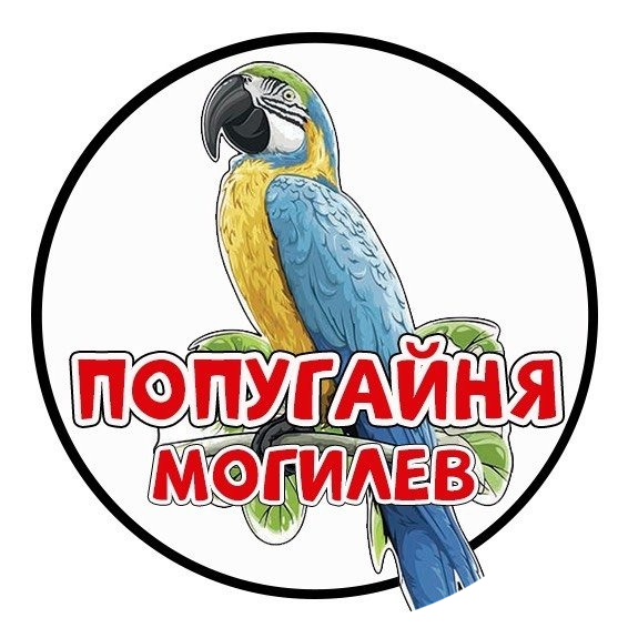 Посещение попугайни от 13р в Могилеве